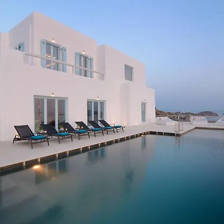 Bluebird Sunbird Willa