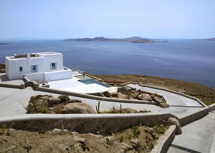 Bluebird Sunbird Willa