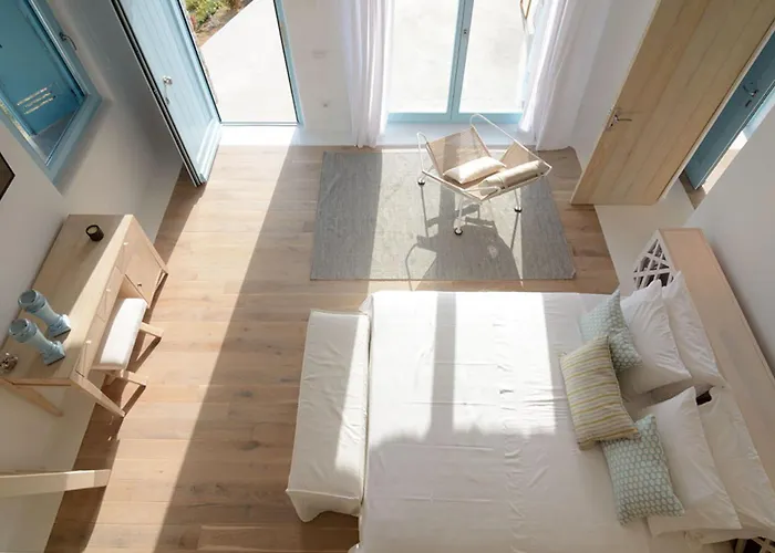 Bluebird Sunbird Willa *