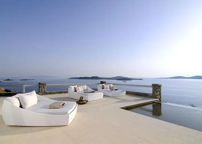 Bluebird Sunbird Willa *