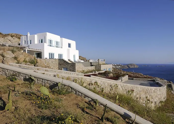 Bluebird Sunbird Willa *